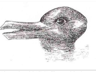 Rabbit or duck?