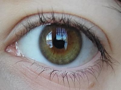 My eye colour (brown from afar)