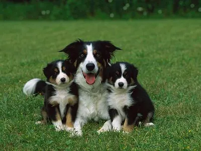 perrieedwards1's Photo perrieedwards1's Photo