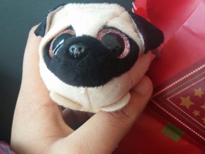 My secret santa got me him ❤