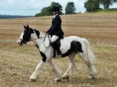 perrieedwards1's Photo perrieedwards1's Photo