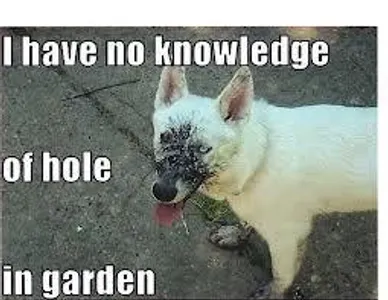 DontJudgeMeByMySocks's Photo DontJudgeMeByMySocks's Photo