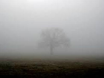 Shrouded_in_Mist