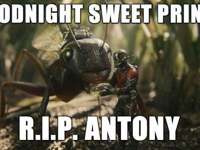 Gonna miss this ant... ? ant man feels!