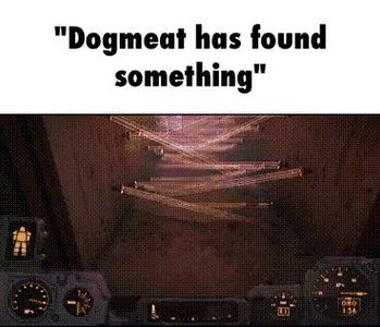 dogmeat HOW IN THE F*CK DID YOU GET PAST THIS??!?!?!??!!