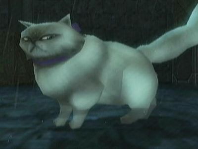 Am I the only one who thought the cat in Twilight Princess was grumpy cat?