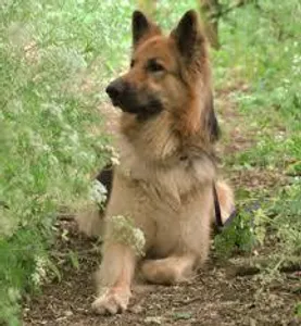 xKearax's Photo xKearax's Photo