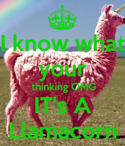 LOOK AT THE LLAMACORN