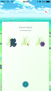 I swear to God if that was an Arcanine...