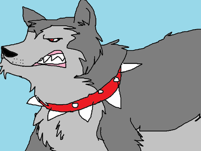 Wolfie with spike collar