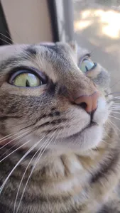 Tomius's Photo Tomius's Photo