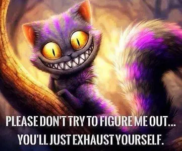 Sliversplashthecat's Photo Sliversplashthecat's Photo