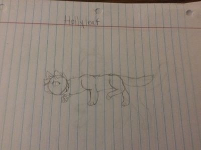 Hollyleaf