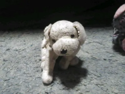 RULERZREACHF4N's Photo RULERZREACHF4N's Photo