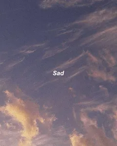 orangeade's Photo orangeade's Photo