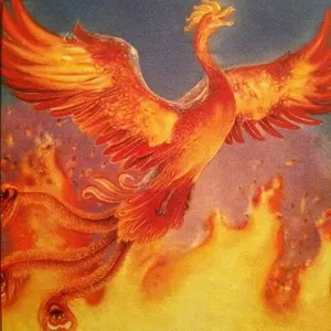 swiftwolfgamer's Photo swiftwolfgamer's Photo