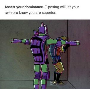 T-pose leo