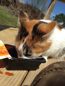 She loves SpaghettiOs