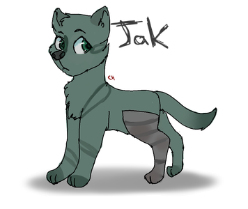 Christmas Gift for @Heart_Of_The_Wolf-"Jak"