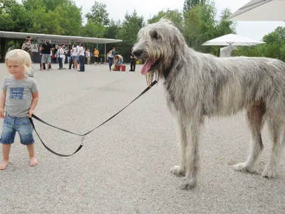 supercutecatty's Photo supercutecatty's Photo