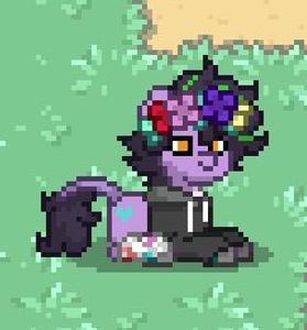 FIRST PONYTOWN DESIGN