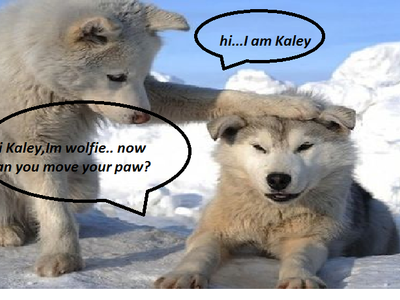 WOLFIExKALEY!!!!!!!!!