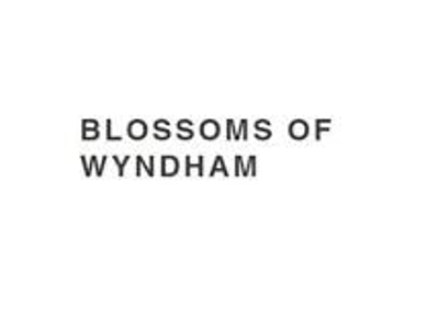 blossomofwyndham