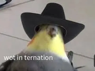 Mina_Ashido's Photo Mina_Ashido's Photo