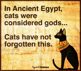 breann.west.5's Photo breann.west.5's Photo