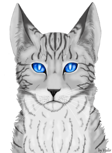 jayfeather_13