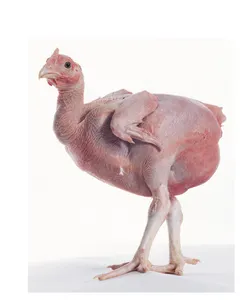 Loser_Spray's Photo Loser_Spray's Photo