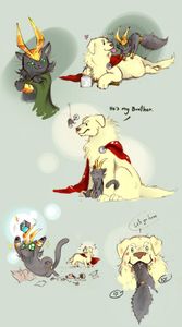 Loki and Thor as animals