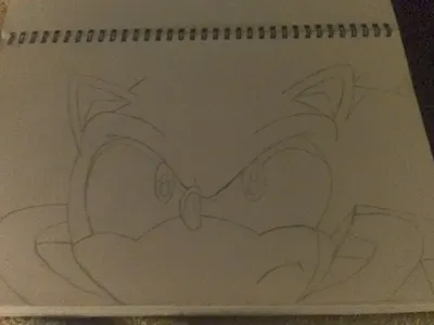 Jason_the_hedgehog's Photo Jason_the_hedgehog's Photo