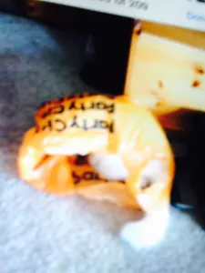 Maxdatlitmix2505's Photo Maxdatlitmix2505's Photo