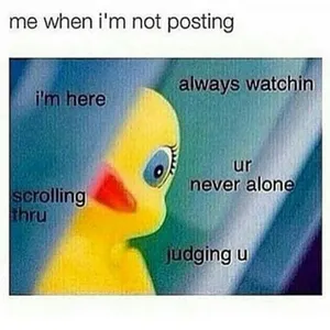 vive_la_revolution's Photo vive_la_revolution's Photo