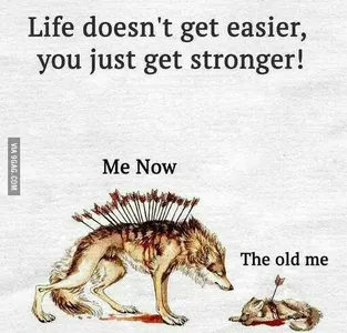 Darkwolves's Photo Darkwolves's Photo