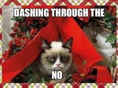 how i feel about the holidays before december