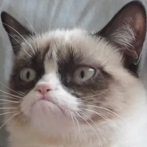 Da_Grumpy Da_Grumpy