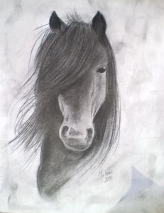 Horselover124