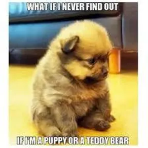 Amaracool21's Photo Amaracool21's Photo