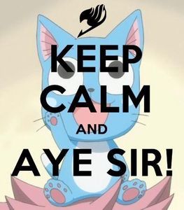 AYE SIR!