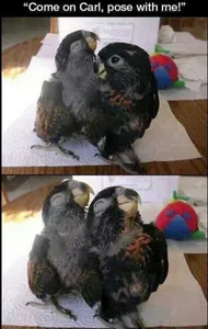 sherina's Photo sherina's Photo