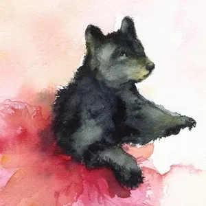 BalletBear's Photo BalletBear's Photo