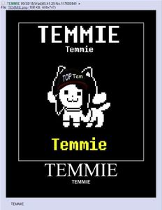 TEMMIE