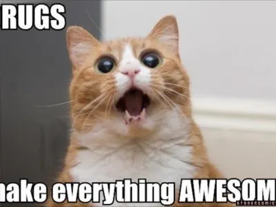 PurpleWolf24's Photo PurpleWolf24's Photo