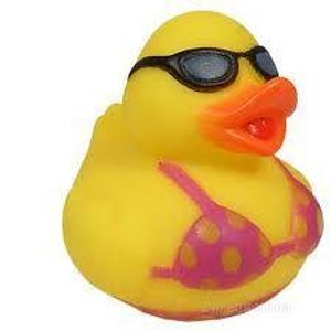 Sexy duck