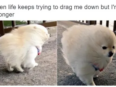 All_hail_Melon_King's Photo All_hail_Melon_King's Photo