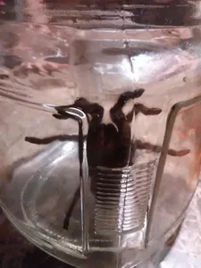 Loser_Spray's Photo Loser_Spray's Photo