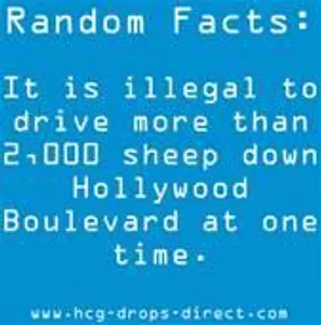 rissa's Photo rissa's Photo