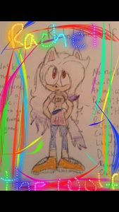 My sonic OC Rachel the Wolf